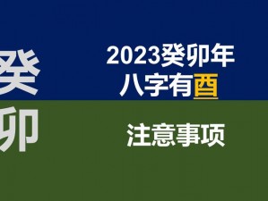 亚洲五矿矿转码 2023，一款专业的视频格式转换工具