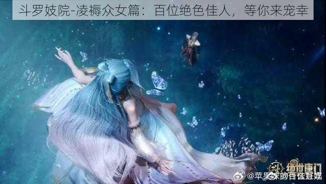 斗罗妓院-凌褥众女篇：百位绝色佳人，等你来宠幸