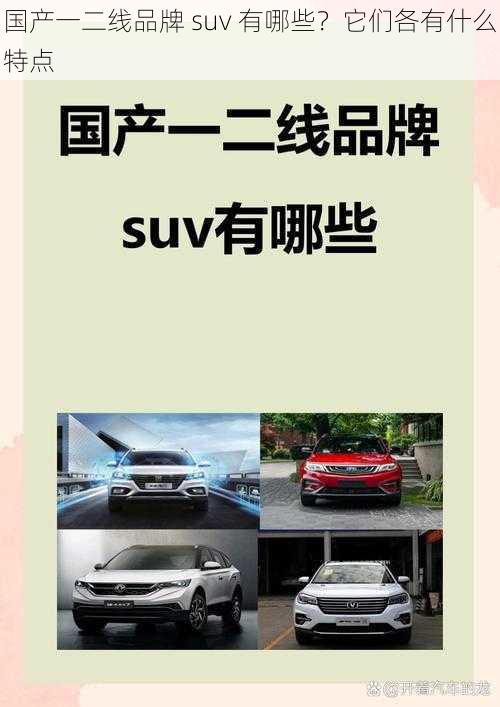 国产一二线品牌 suv 有哪些？它们各有什么特点