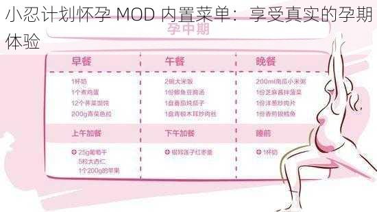 小忍计划怀孕 MOD 内置菜单：享受真实的孕期体验