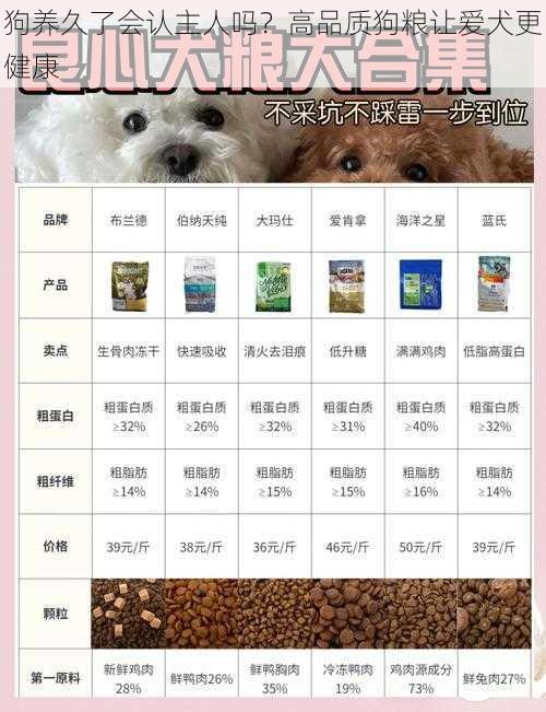 狗养久了会认主人吗？高品质狗粮让爱犬更健康